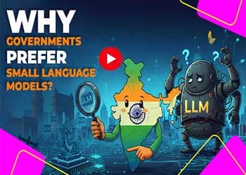 Why Governments Prefer Small Language Models