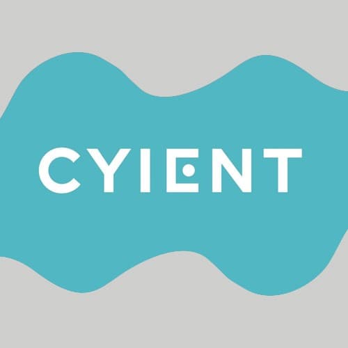 Cyient appoints two new Directors to its Board