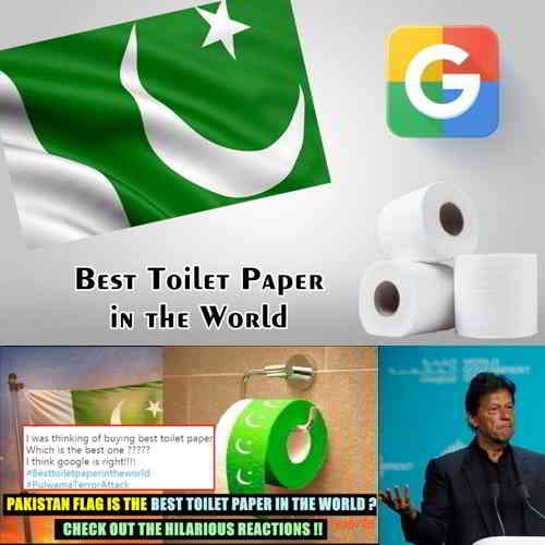Google showing on Pakistan flag search results for 'best toilet paper in the worldâ€™ : After Pulwama Attack