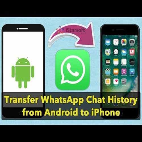 One-Click Away On Your iOS and Android Phones With Just One WhatsApp Click