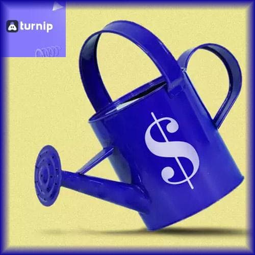 Elevation Capital provides $1.63 mn funding to Turnip