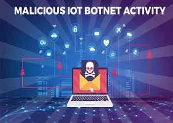 Malicious IoT botnet activity