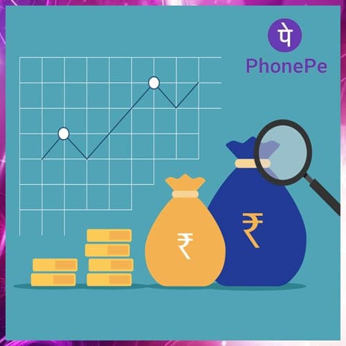 PhonePe secures $100 million of fresh funds from General Atlantic and others