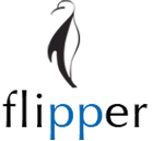 FlipperTech Brings Parrot A.R. Drone 2.0 to India