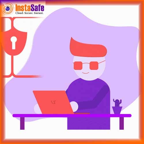 Zero Trust Secure Access and Network Access Solves The Problem Of Excessive Trust: INSTASAFE