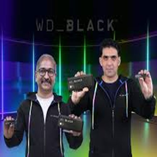 WD to ease storage solutions as 57% of PC gamers points at slow storage