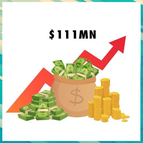 GlobalBees turns unicorn after raising $111Mn