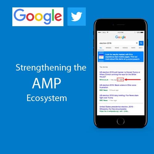 Strengthening the AMP ecosystem