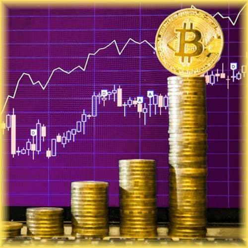 Bitcoin crossed $53,000 as Elon Musk backs it over cash