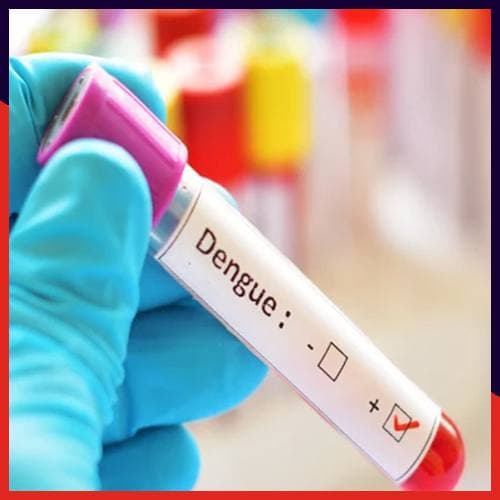 Device ready for early detection of Dengue: IIT Delhi