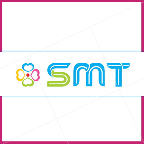 smt raises equity capital in a funding led by morgan stanley private equity asia