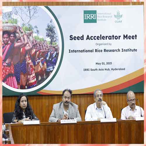 IRRI Hosts National Meet to Accelerate Adoption of Next-Gen Rice Varieties