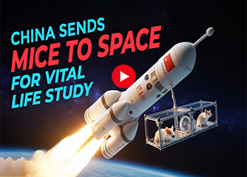 China Sends Mice to Space for Vital Life Study