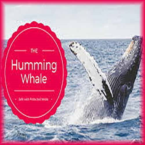 RETURN OF HUMMING WHALE TO HIT YOUR PC and Mobile Phone RETURN OF HUMMING WHALE TO HIT YOUR PC and Mobile Phone