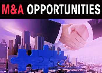 M&A opportunities