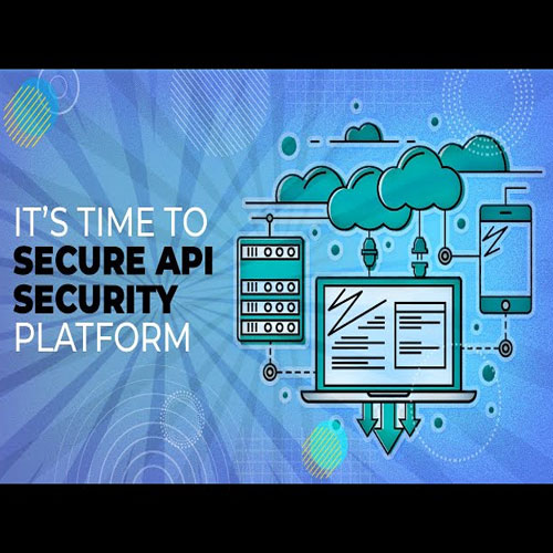 It’s time to secure API Security Platform