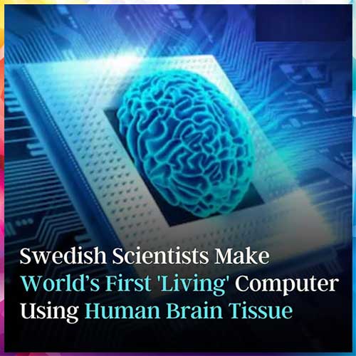 World's first 'living computer' created out of human brains