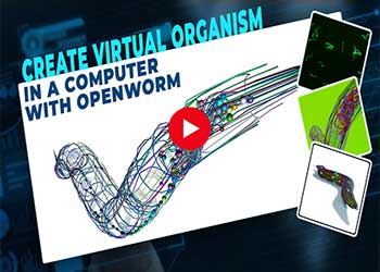 Create virtual organism in a computer with OpenWorm