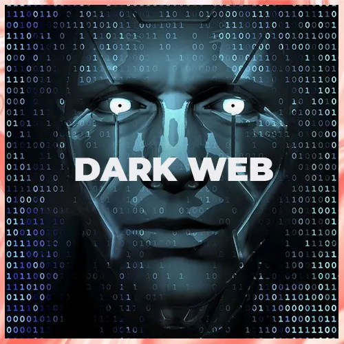 Dark web marketplaces Sipulitie and Tsätti dismantled