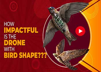 How Impactful is the Bird-Shaped Drone? Unveiling Game-Changing Technology!