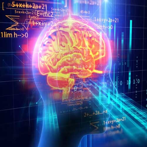 Human Brain Processing Slower Compared to Internet Speed