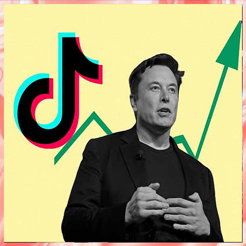 Elon Musk Dismisses TikTok Acquisition Rumors