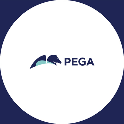 Pega launches ‘Infinity '25’, the industry’s first AI-powered agentic enterprise transformation platform