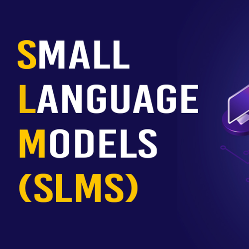 The Growing Government Preference for Small Language Models