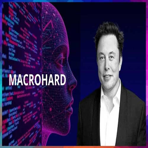 Musk unveils joint Tesla-xAI project ‘Macrohard’