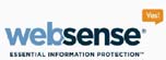 Websense wins 2013 Customer Value Enhancement Award