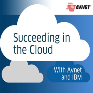 Avnet partners with IBM to drive transformation in technology distribution industry