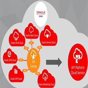 Oracle presents its API Platform Cloud Service to simplify API management experience