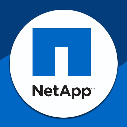 NetApp helps Nova Techset to leverage Hybrid cloud