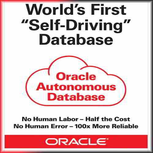 Oracle Autonomous Database empowering organizations with business productivity