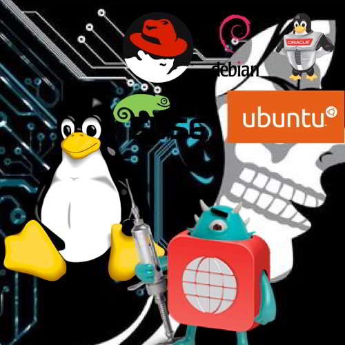 Linux Systems under severe vulnerability attack 