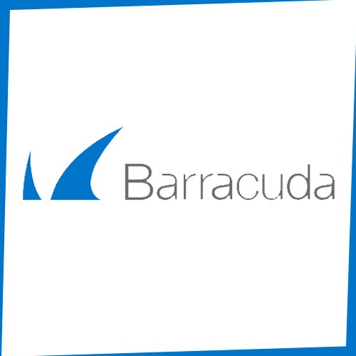 Barracuda hailed as a leader in Enterprise Email Security