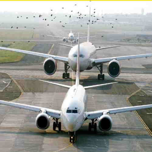 Center releases guidelines for international and domestic travel