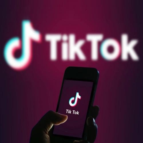 Tiktok goes offline in India after Government banned it