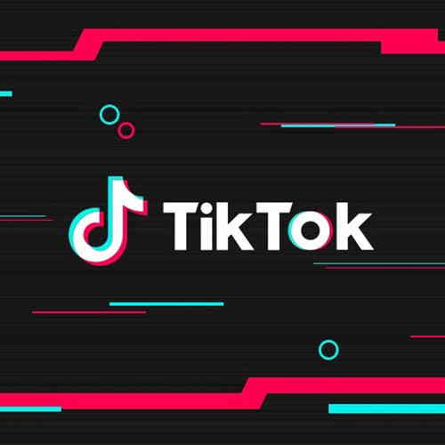 TikTok CEO pens to Indian government after app gets banned