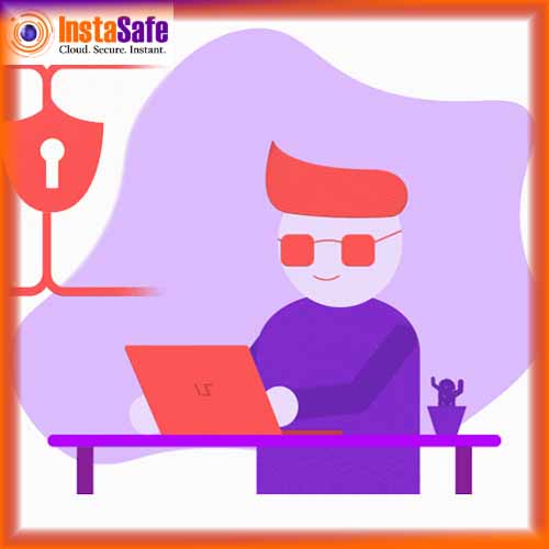 Zero Trust Secure Access and Network Access Solves The Problem Of Excessive Trust: INSTASAFE