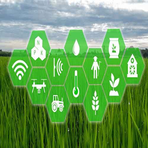 Andhra Pradesh Government implementing AI technology to help farmers increase crop yields