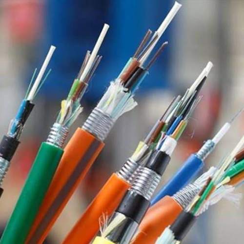 Optical fibre laying speed needs to hurry up, Taipa