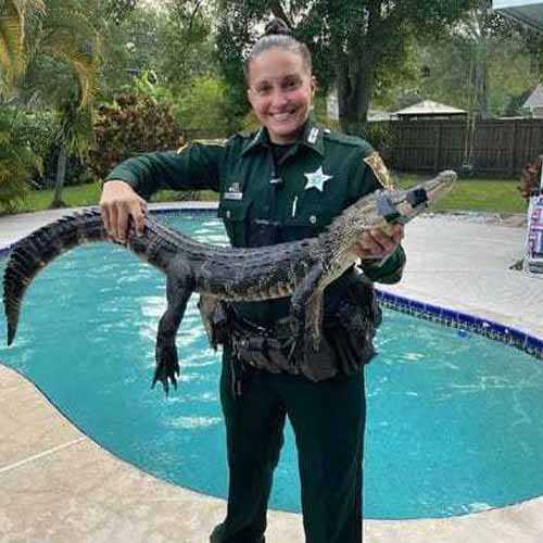 US woman cop removes alligator from Florida pool