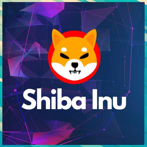 Cryptocurrency Shiba Inu plans to launch its own blockchain