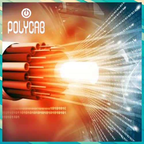 Polycab secures Rs 509 cr deal to deploy fibre network for Tanfinet