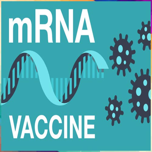 India’s first homegrown mRNA COVID-19 vaccine likely to have low market penetration