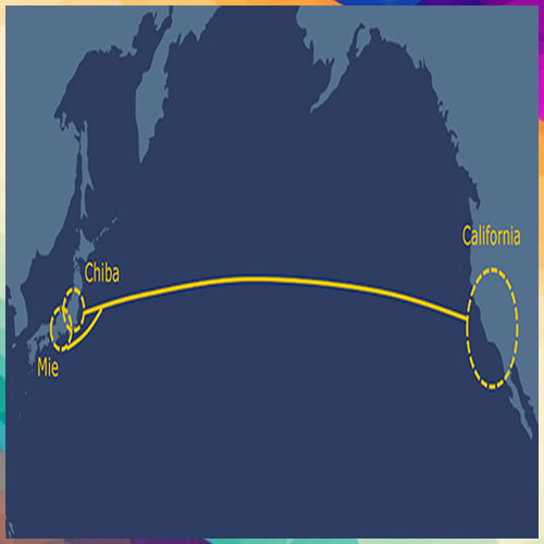 NEC to build new trans-Pacific cable