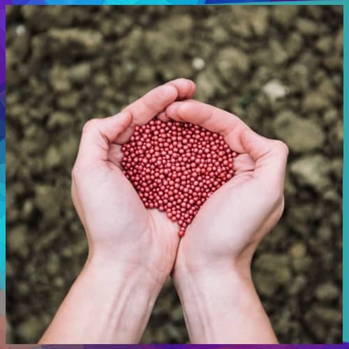 Jharkhand to distribute seeds to farmers via SettleMint