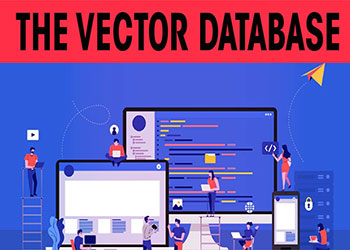 The vector database