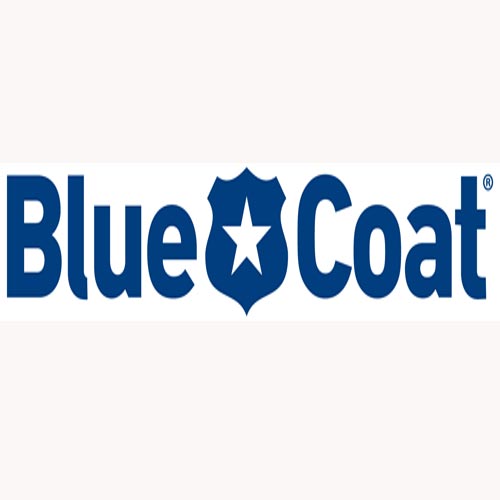 Blue Coat Systems taken over by Bain Capital
